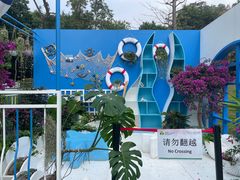 -莲花山公园