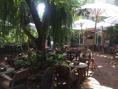 -Fern Forest Cafe