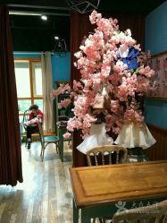 -星豆豆儿童摄影(南郊太白南路店)