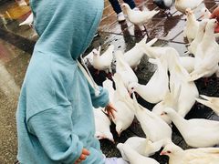 -王府井奥莱临潼小镇(临潼店)