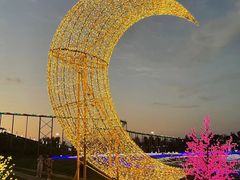 -枫林花海