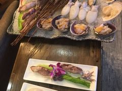 -海桐