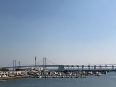 -大连圣亚海洋世界