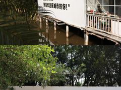 -芭厘农庄老字号·清远鸡