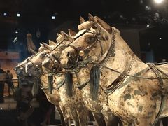 -秦始皇帝陵博物院-丽山园