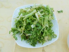 凉拌苦菊-海岛渔村大酒店(云霄路店)