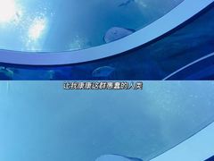 -珠海长隆海洋王国