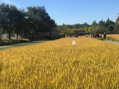 -北坞公园