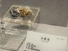 -湖南省地质博物馆