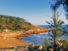 -广东惠东海龟国家级自然保护区