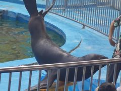 -华夏文旅海洋公园