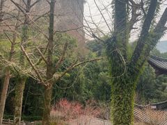 -雁荡山风景名胜区