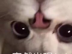 -冯姐生蚝(迎宾广场店)