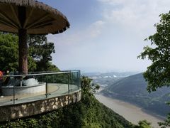 -铁山坪森林公园