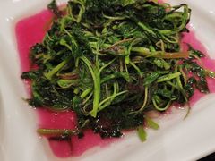 米茜-新南华大酒店(广中店)