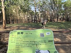 -大连森林动物园