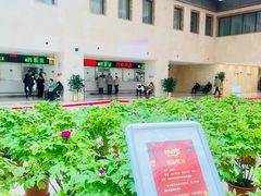 -北京市垂杨柳医院