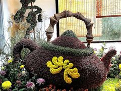 -杭州植物园
