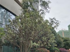 -昆明花之城豪生国际大酒店·怡享阁