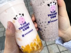 -一只酸奶牛(八一路店)