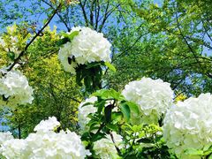 -大龙山(地铁站)