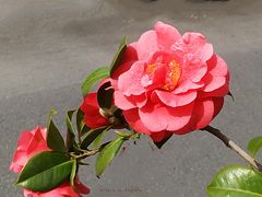 -长阳创谷