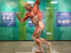 -国家自然博物馆