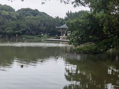 -江心屿景区