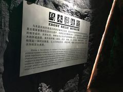 -乐山乌木文化博览苑