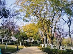 -两江国际影视城