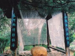 -沈阳植物园