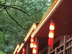 -金水泊山庄·花椒鸡(铁山坪店)