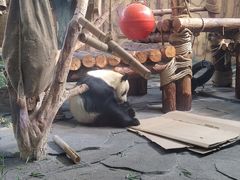 -泉州海丝野生动物世界