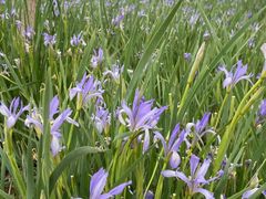 -天津东丽湖风景区