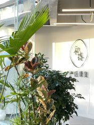 -初练产后康复