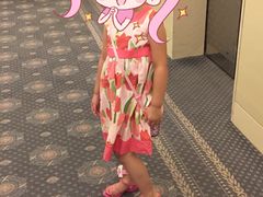 -新加坡瑞士史丹福酒店