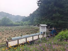 -云峰山自然风景区