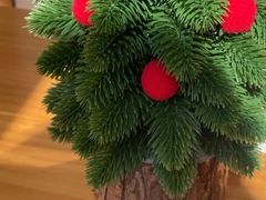 -和创柚子·会席日本料理(新区淮海街店)