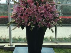 -上海鲜花港