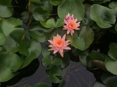 -郭守敬纪念馆