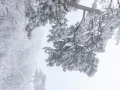 -妙峰山风景名胜区