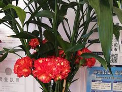-丽泽山庄·生态怀柔菜·虹鳟鱼(红螺寺店)