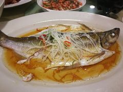 -旭宝高尔夫俱乐部