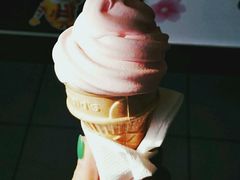 -麦当劳(盐城世纪大道得来速店)