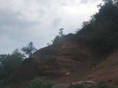 -中鑫之宝(陇海路店)