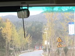 -千年银杏谷文化旅游区