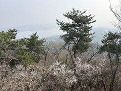 -沈阳辉山风景区