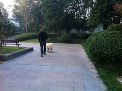 -杭州城北体育公园