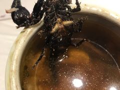 -山泉公馆酒家(广州东站店)