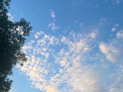 -MT麦如麦立送(五矿live店)